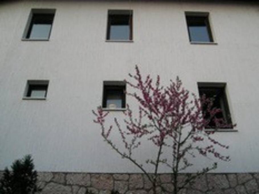 Apartment In Old Town - Top Location Saraievo Exterior foto
